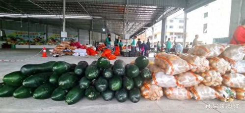 一份厚禮 國慶當天,南充嘉陵 頭洞橋農產品批發中心 試營業