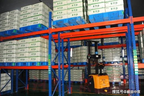 情系民生 肩擔責任 商丘農產品中心批發市場董事長 總經理喬彬